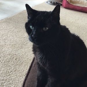 Meet your Posher, Mary